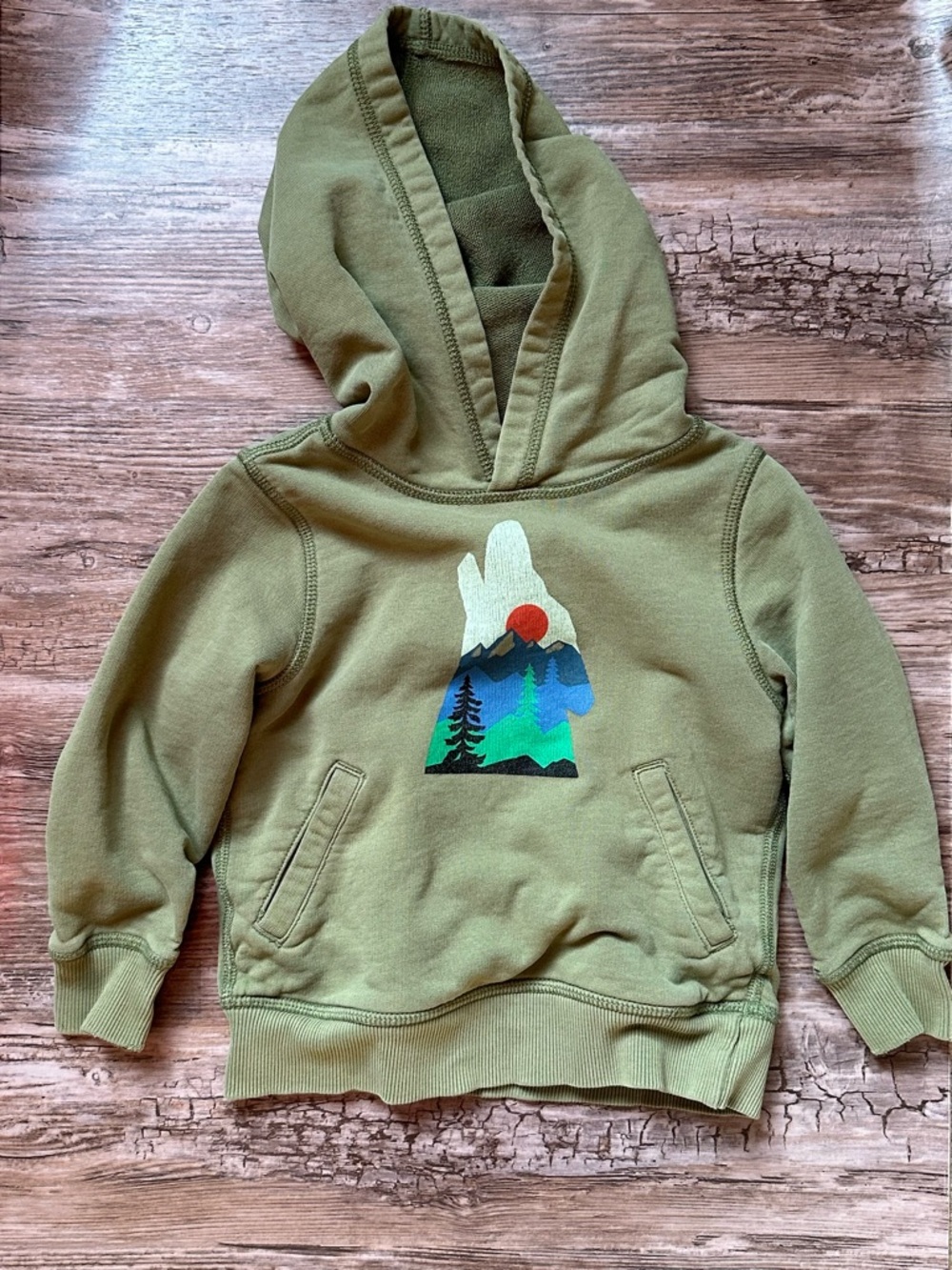 Hanna Andersson Green Hooded Sweatshirt with Mountain Graphic 3T
